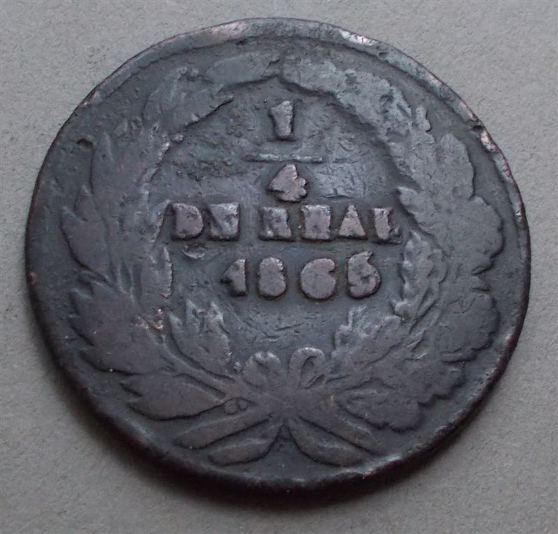 1865-Chihuahua-